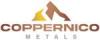 Coppernico Metals to Participate in Vancouver Resource Investment Conference 2026