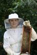 Local beekeeper shares how bees engineer nature
