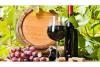 Armenia`s Viticulture and Winemaking Foundation  reports on its 2025  activities