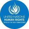 United Nations condemns violations against migrants in United States