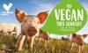 Veganuary explained: health, climate and lifestyle