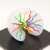 3D-Printed Optic Pathway Model Enhances MRI Education