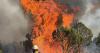 Fix Our Forests Act makes big wildfire response changes. Expert says it also has harmful provisions