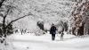See snow totals as massive winter storm sweeps through Kentucky