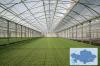 Kazakhstan Attracts $150 Million Investment for Greenhouse Project in Shymkent
