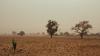 Combating the climate crisis to promote peace in Mali