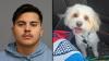 Former Bartow police officer accused of poisoning his girlfriend's Maltese poodle