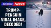Trump’s "Arctic Companion": The Viral White House AI Image Explained | Greenland Vs US | News18