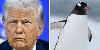 White House posts bizarre AI image of Trump and a penguin in Greenland - but there’s one problem
