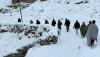 Deadly snowfall, floods devastate Afghanistan: 61 dead