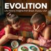 Childcare Evolution: Life History Insights from Brazil, Russia, USA
