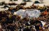 Plastic Pollution Requires Urgent Action, Says Author Judith Enck