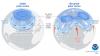 Science The Weather Channel How the polar vortex and warm ocean are intensifying a major US winter storm