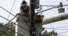 Grid operator, power companies encourage energy conservation