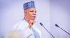 'There are places in Nigeria to plant money and it will grow' - VP Shettima speaks on agriculture