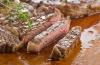 Why is Brazilian beef back in the news? And is it actually of lower quality than Irish beef?