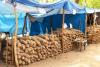 Burkina Faso’s Yam Revolution Sparks Unease for Ghanaian Farmers as Cross-Border Trade Faces New Reality