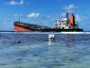 More than 5 years after Wakashio oil spill, questions linger in Mauritius
