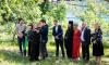 Wedding comedy “Svadba” becomes biggest Croatian film opening ever