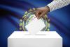 Dem Law Firm Seeks Court Reversal of NH Absentee Ballot ID Law
