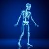 Bone Health Linked to Lifestyle in Indian Adults