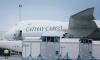 Cathay Cargo flies 60 showjumping horses from Europe to Hong Kong