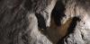 Identifying dinosaurs from their footprints is difficult – but AI can help