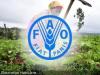 iciHaiti - Agriculture : High-level FAO mission