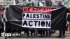 Review into Palestine Action ban will go ahead