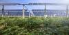 Researchers in Romania developing agrisolar system with batteries