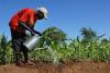 Experts Flag Climate-Smart Farming, Others As Key To Food Security