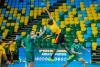 CAN Handball: Algeria, Egypt, Tunisia and Morocco qualify for World Championship