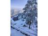 Fresh snow sparks tourism boom in Shimla