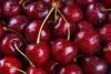 Why Chilean cherries might need more than good quality to thrive in China this season