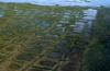 AP News: Winter drilling program in Alaska petroleum preserve can proceed, judge rules