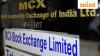 Energy pips bullion for retail traders on MCX