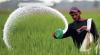 Fertiliser use rises despite flood-hit agriculture