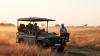 See lions in style — the Ineos Grenadier goes on safari