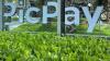 PicPay IPO breaks four-year drought for Brazilian companies