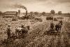 American Agriculture’s Expansion in the Early 1900s