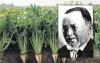 "Solomon's temple" near Kyiv: How a Jewish scholar developed Ukraine's agricultural industry