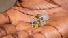 De Beers Unveils GemFair Diamonds From Artisanal Miners in Sierra Leone