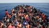 Over 250 Migrants Feared Dead After Boat Sinks Off Gambian Coast