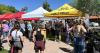 Business Spotlight: Fountain Hills Farmers Market promises a ‘wonderful Wednesday’
