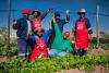 Community food gardens nourish learners as schools open for the year