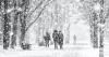 Record snowfalls in Connecticut history