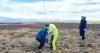 Falklands, Tussac restoration project to protect peatlands