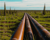 Germany demands sale of Tanquid's stake in pipeline operator FBG