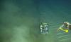 Sediment clouds from deep-sea mining threaten seafloor life