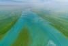 Plastic pollution may be supercharging algae blooms